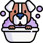 dog-banho