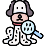 pet-dermatology